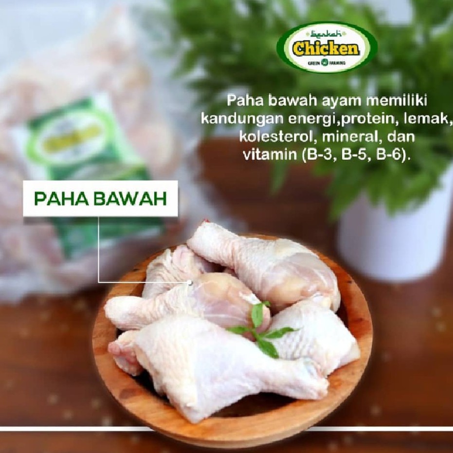 

Drum Stick/Paha Bawah Ayam Probiotik | Ayam Organik