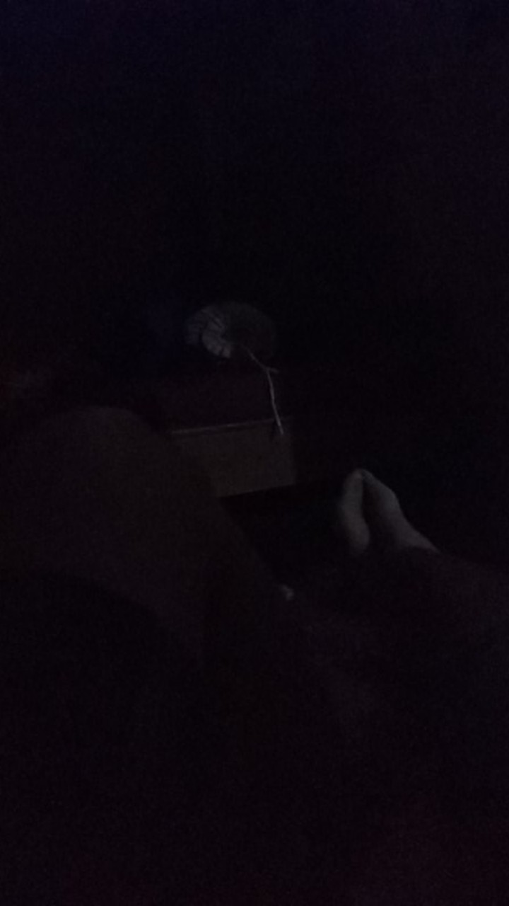 Harimau Sumatra Kemeja Batik Pria Lengan Panjang Hem Seragam Katun Cabut Full Furing Batik Rajasakti