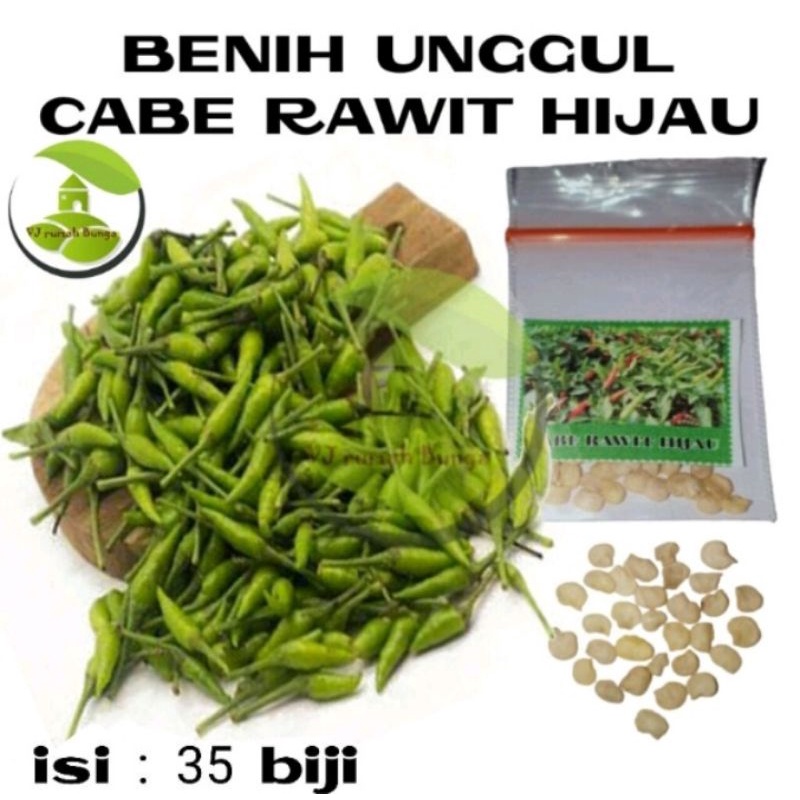 benih cabe rawit hijau