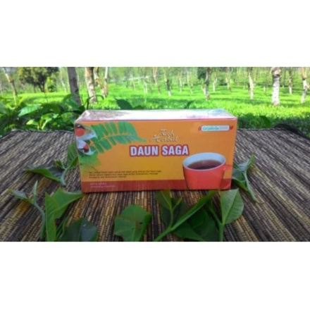Teh Herbal DAUN SAGA herbal ASLI untuk mengobati batuk original produk sudah izin bpom