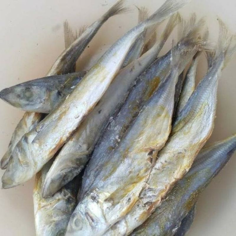 

Ikan Asin Japu Layang Ikan Asin Rebus