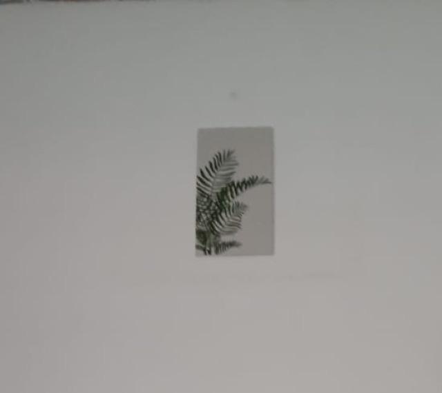 Wooden Projects Wall Decor Hiasan Dinding Tropical Bunga Sansevieria - Te