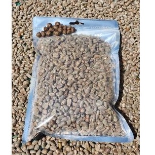 BIBIT SPORA PORANG/BIJI SPORA PORANG SUPER PETIK MERAH GRAD[A] [1KG