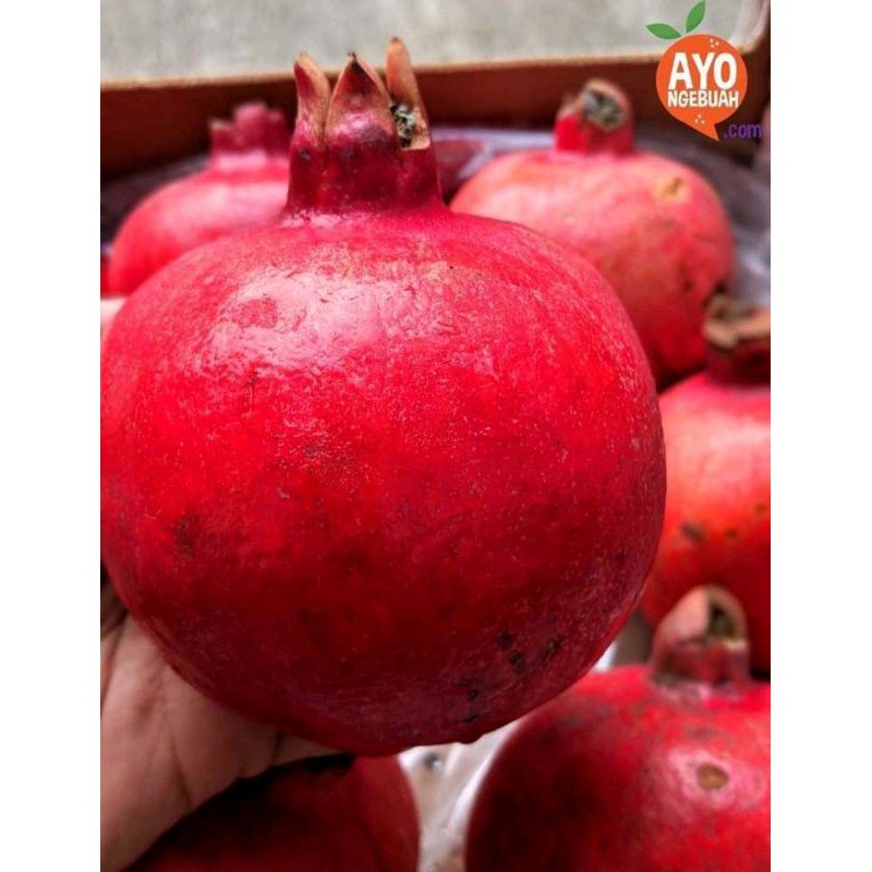 

Delima Impor 1pcs. MyAp.FRESH_FRUITS