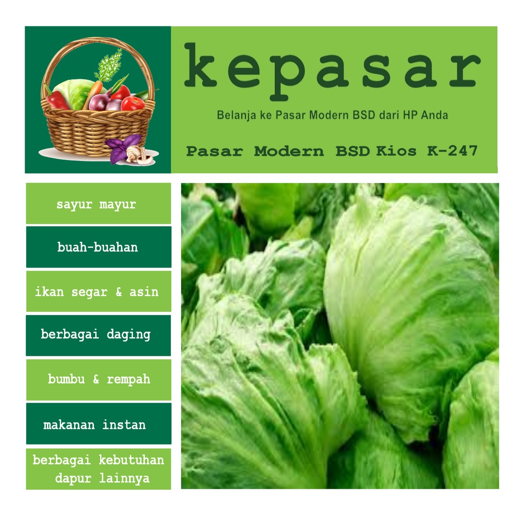 

Lettuce Head 500 g