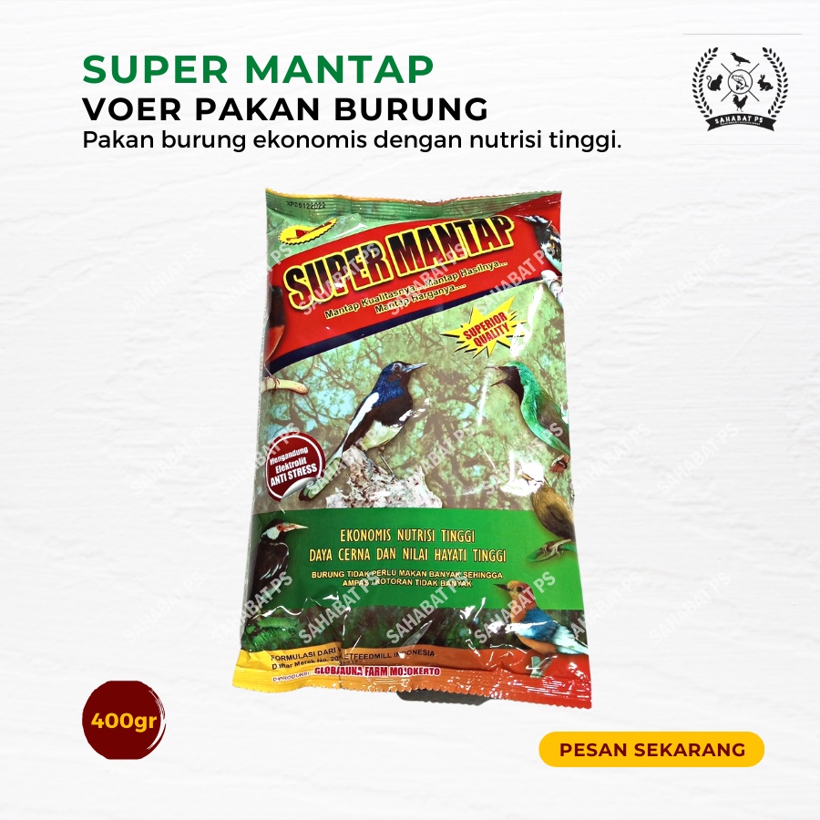 PAKAN BURUNG SUPER MANTAP VOER MURAI WAMBEY JALAK CUCAK CENDET