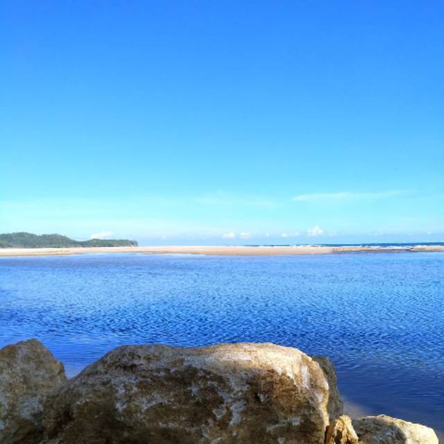 priscellan01