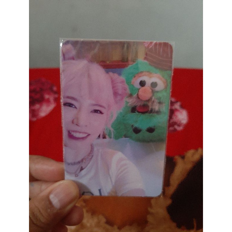 SUNNY PHOTOCARD HOLIDAY NIGHT