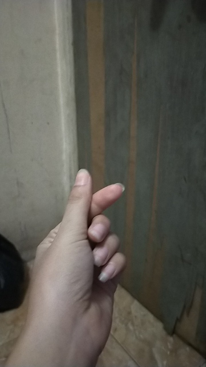 Mangkuk Susun 5 In 1 / Mangkuk Beranak