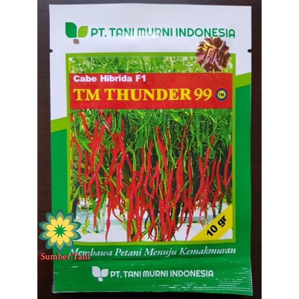 Benih Cabe Kriting TM Thunder 99 Cabe Hibrida F1 Benih Cabai