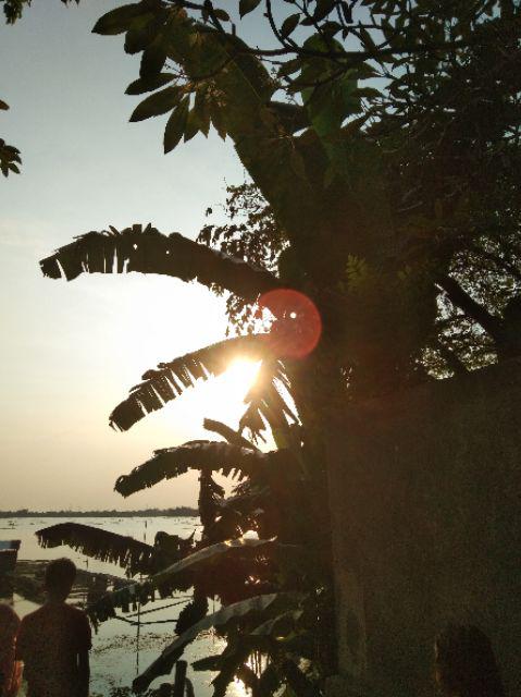 Terpal Plastik A5 Ukuran 3x5