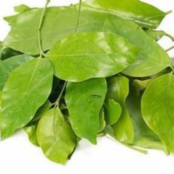 

Daun Melinjo