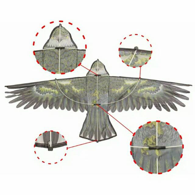 Layangan Elang Parasut Pemasangan Mudah (Lebar+-150cm)