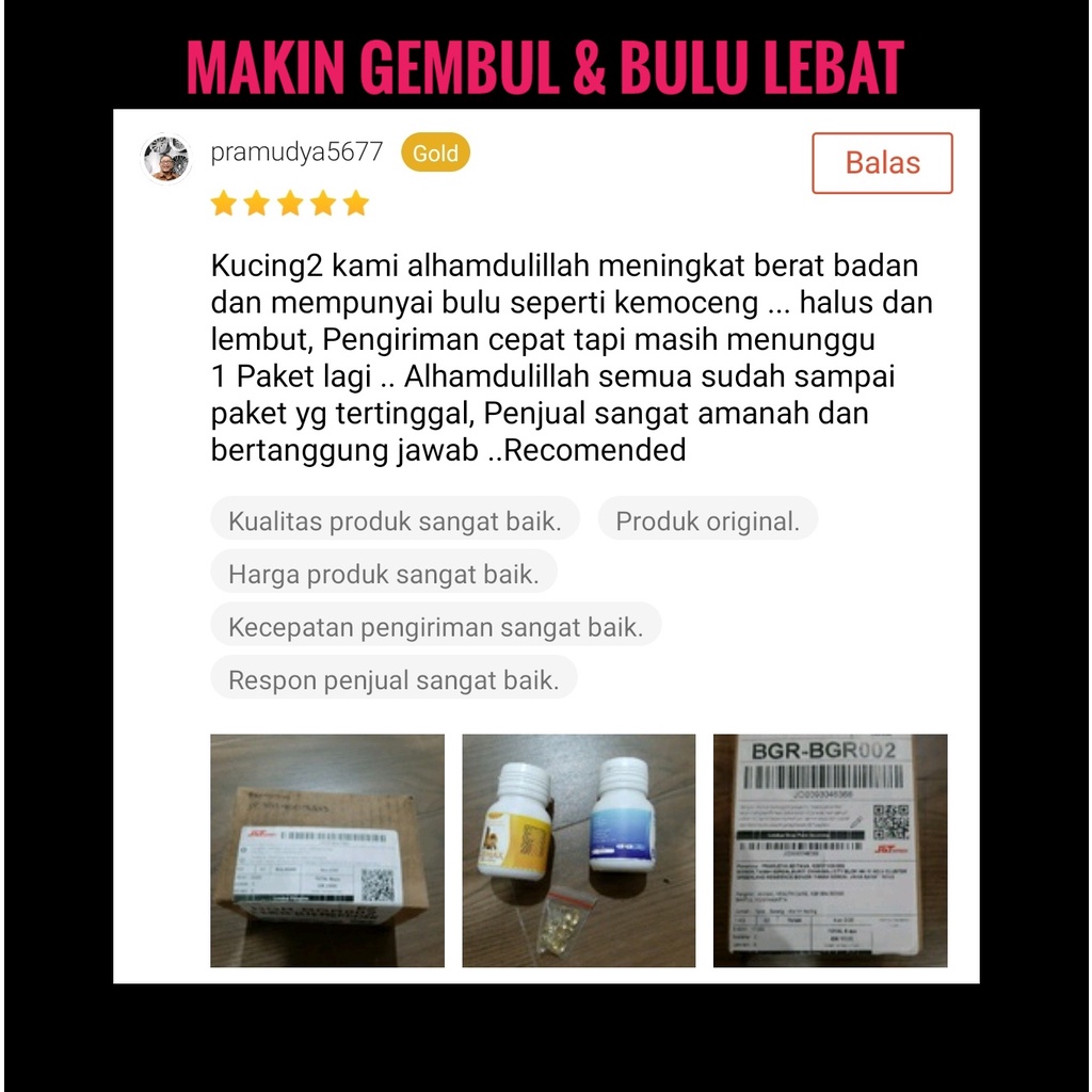 FURMAX VITAMIN BULU KUCING PELEBAT BULU OBAT KUCING ANTI RONTOK  DAYA TAHAN TUBUH  BULU KUCING