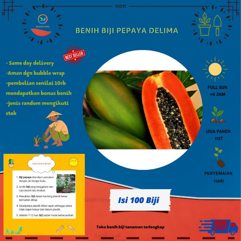 100 benih biji pepaya merah delima