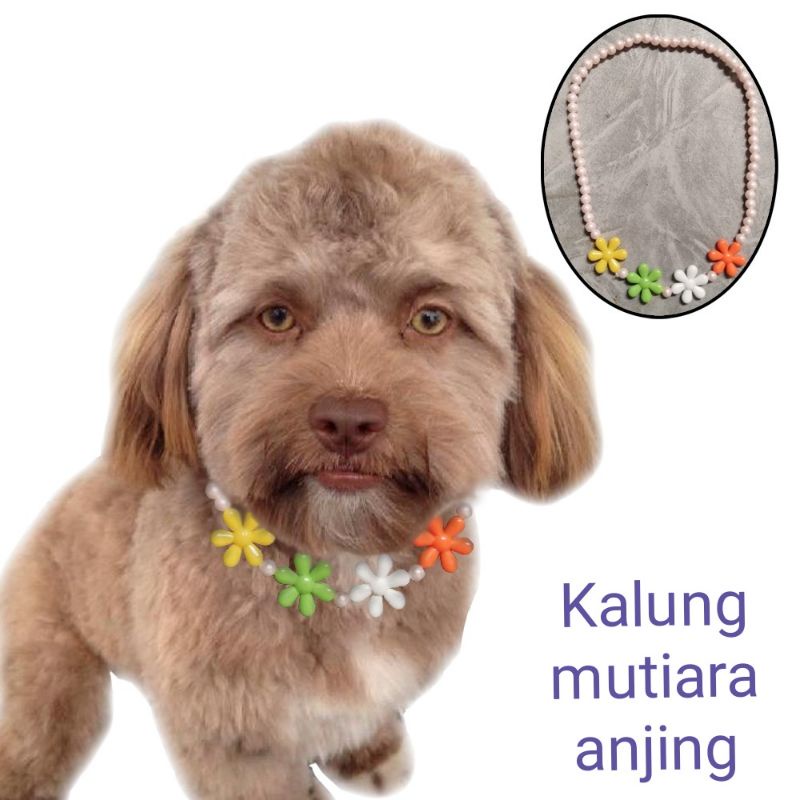 kalung anjing/kalung doggy/kalung fashion anjing/kalung fashion doggy/collar doggy/kerah doggy/kalun