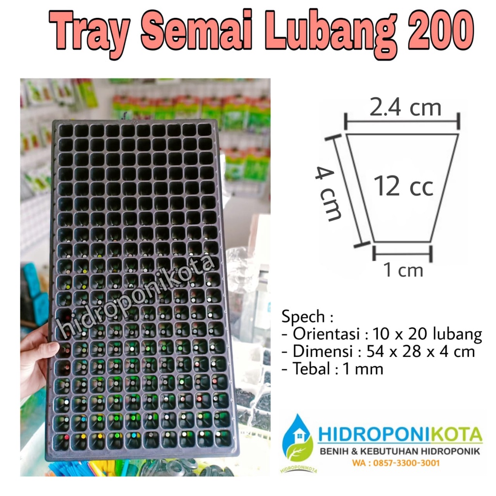 FREE Packing Kardus - Tray Semai Lubang 50, 72, 105, 128,  162, 200, 288 - Tebal 1 mm