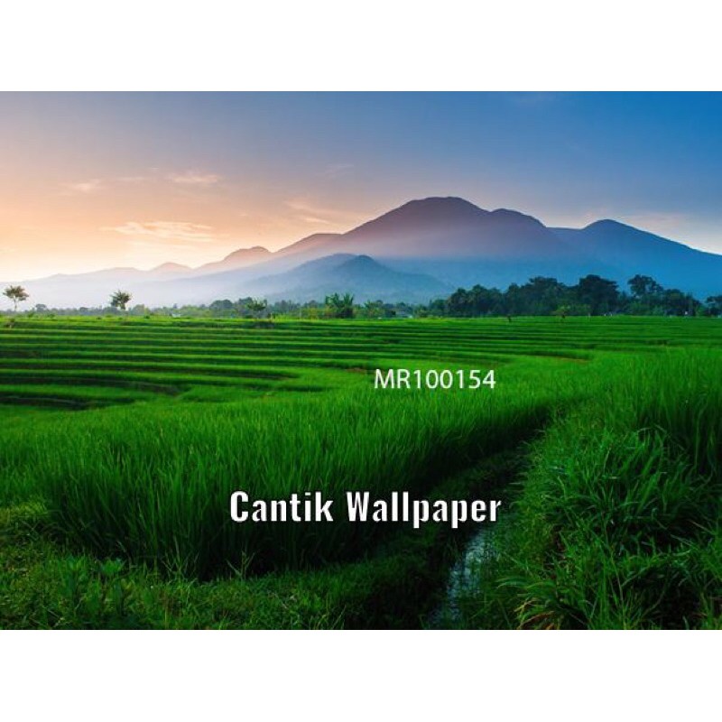 photowall Mural Dinding 3D wallpaper Mural pemandangan pegunungan sawah 3D
