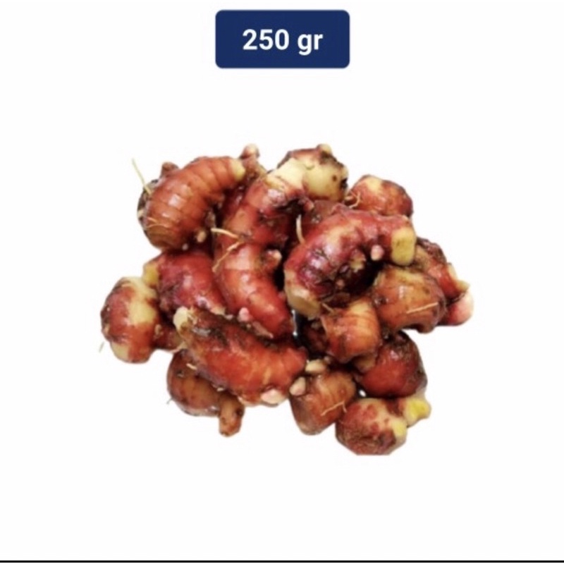 

Jahe merah unggul 250grm terlaris murah bisa COD