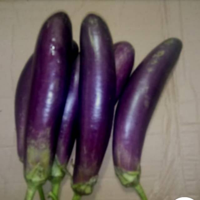 

Terong 500gr