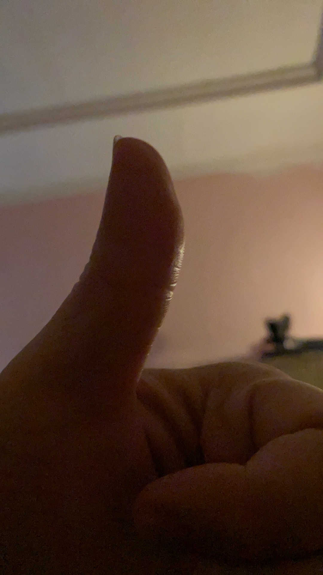 Beckettas Tas Kantong Belanja Supermarket Lipat Size M/ Eco Bag/ Shopping Bag