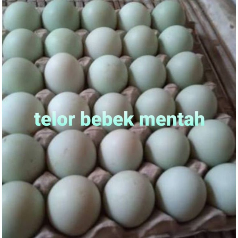 

TELOR BEBEK MENTAH OREN:4000 /1 BUTIR