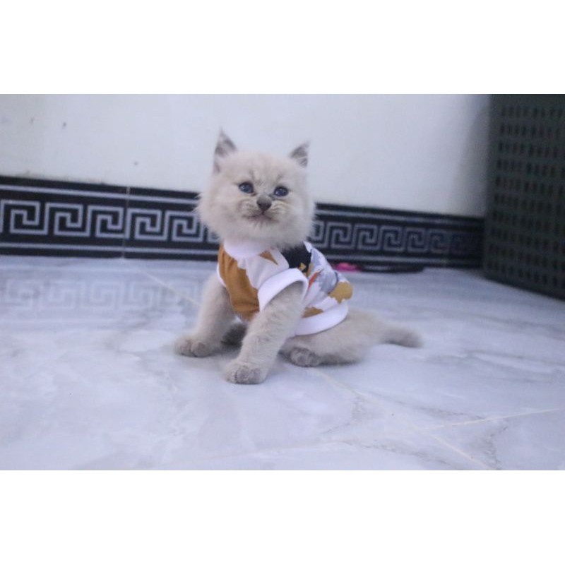 Kaos simple coklat lucu lucu untuk kucing dan anjing / baju kucing murah size S M L XL