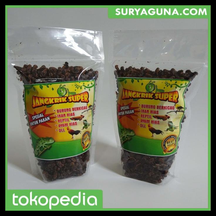 

DISKON TERBATAS !!! KEMASAN 1 KG | JANGKRIK KERING SUPER MULTIFUNGSI DAN BERGIZI TINGGI TERLARIS