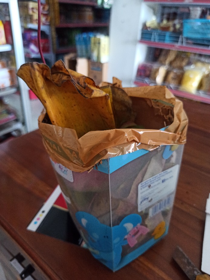 Keladi/caladium Sexy Pink