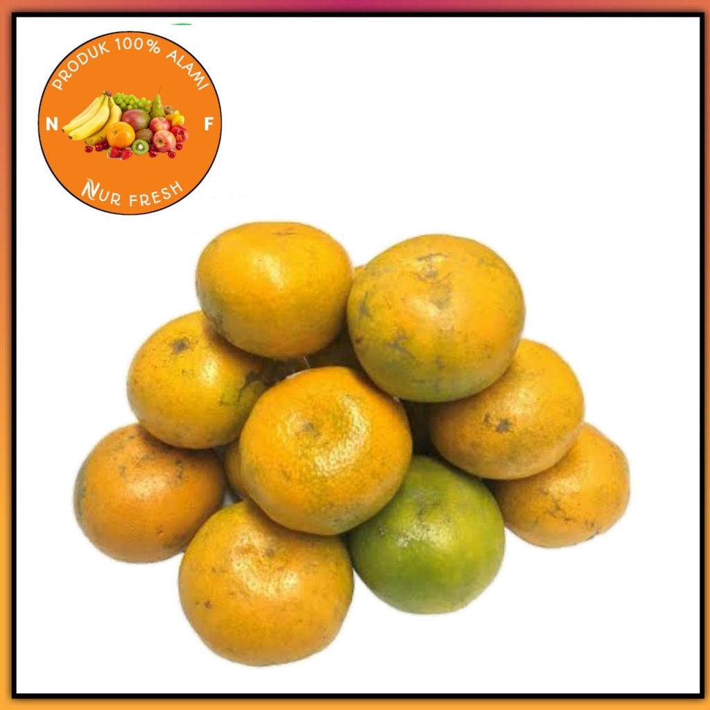 

jeruk medan super murah bergaransi