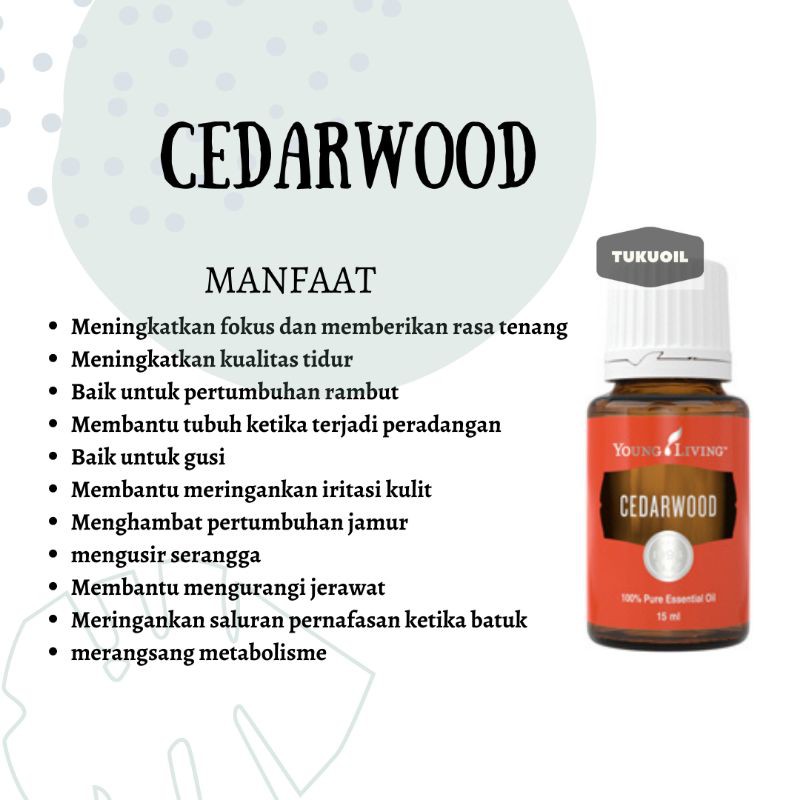 Cedarwood 15ml Yleo Young Living Original Segel Essential Oil Shopee Indonesia