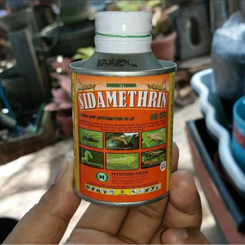 Obat ulat wereng - Sidametrin 50 ec kemasan 100 ml