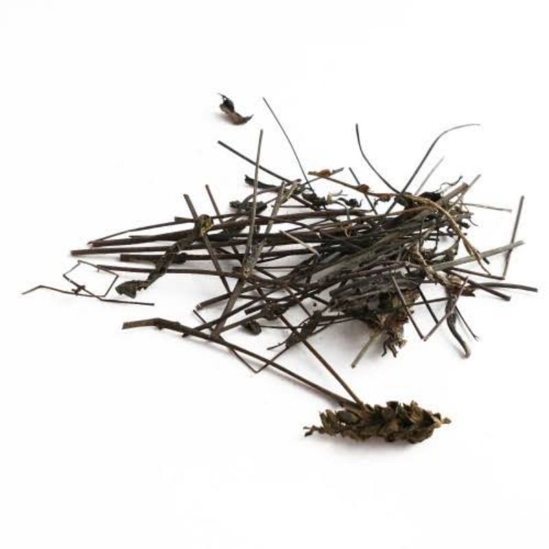 

600 G GR GRAM GUI JIAN YU 鬼箭羽 HERBA EUONYMUS ALATUS