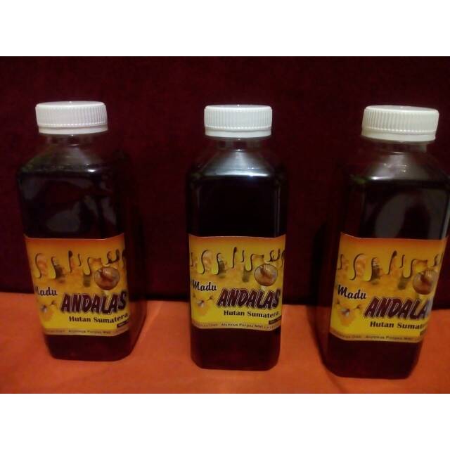 

Madu Hutan Asli Sumatera 500ml