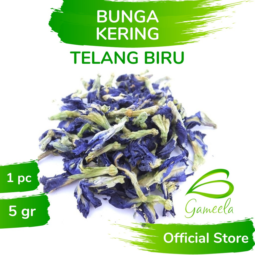 

Gameela Bunga Telang Kering 5 Gr Butterfly Blue Pea Dried Flowers Teh Tisane Pewarna Biru Ungu Alami
