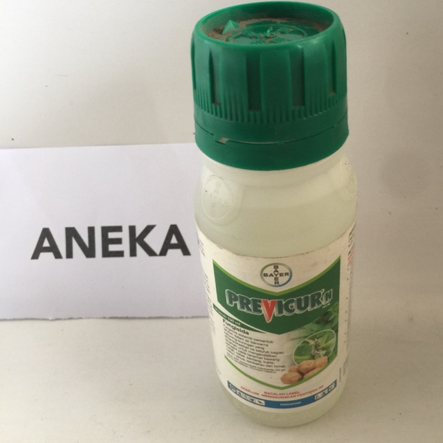 Previcur N 100 ml fungisida sistemik penyakit pada bawang merah murah berkualitas