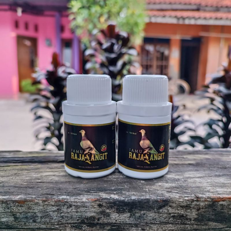 paket 2 botol jamu raja langit herbal jamu merpati