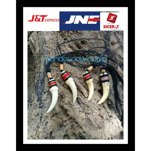 Kalung taring macan harimau replika murah pria