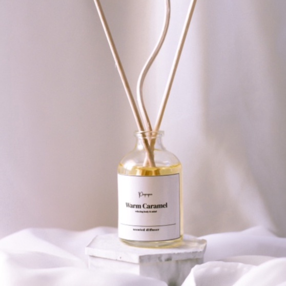Reed Diffuser Aromaterapi Aesthetic | Difuser Aroma Pengharum Ruangan Pewangi-2