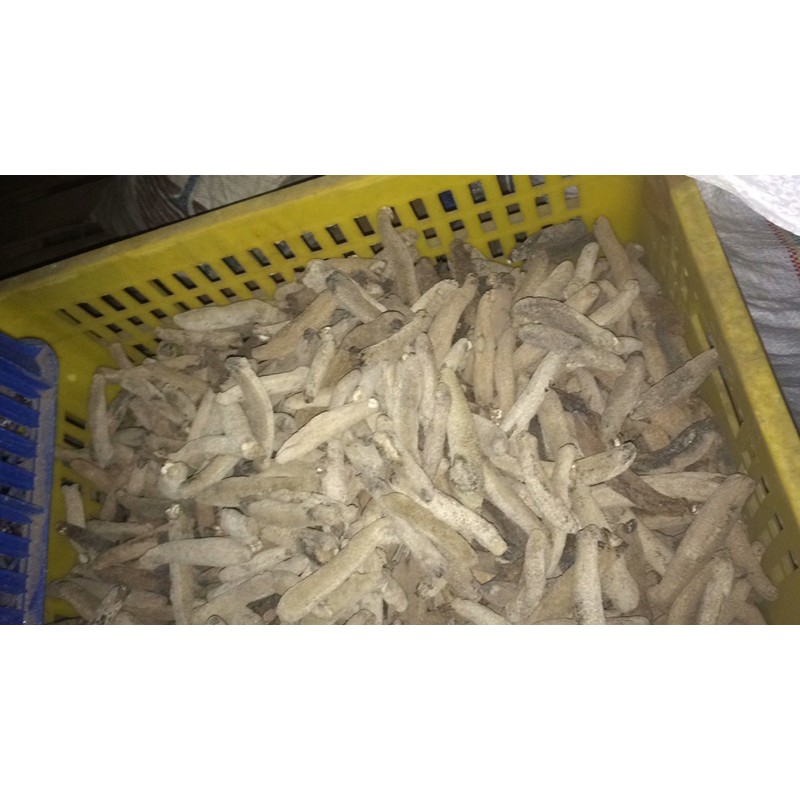 

Teripang/Haisom pisang pisang kering