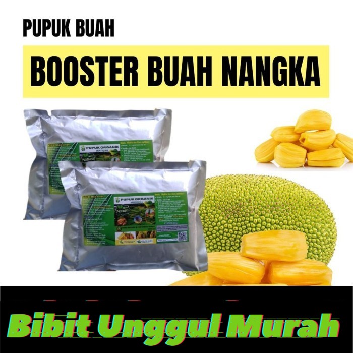 Pupuk Organik Pelebat Buah dan Booster Nangka Cepat Berbuah Lebat