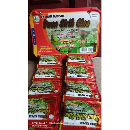 OBAT HERBAL DAUN SIRIH CINA EXTRAK KAPSUL