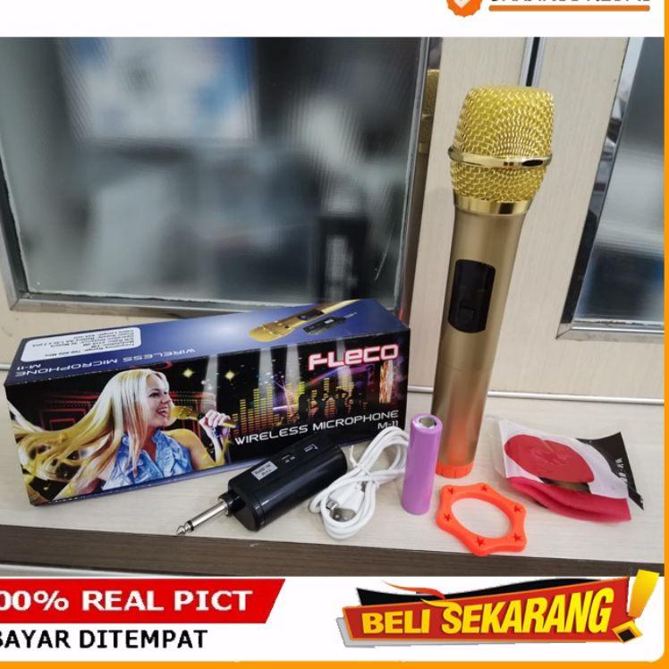 MIC DOUBLE Wireless fleco M12 mikrophone double tanpa kabel mik tanpa kabel murah kualitas original 