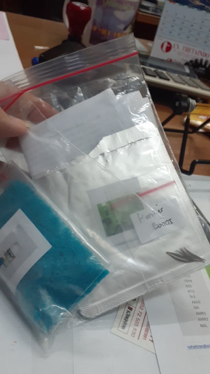 Biji Bunga Lavender Import High Quality Seeds