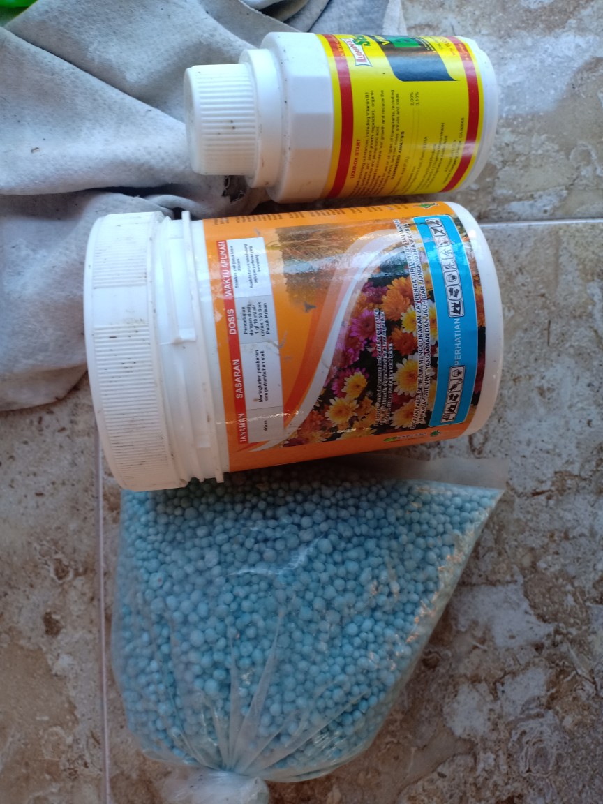 Fungisida Antracol 70 Wp - Kemasan 100 Gram (repacking)