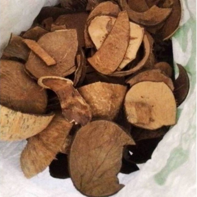 

batok kelapa