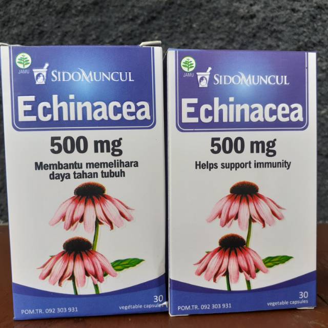 Suplemen vitamin echinacea sidomuncul