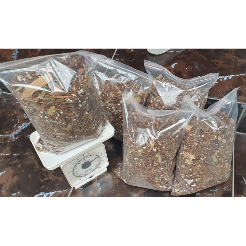 Metan Mantuy Asoka FuFuFu #nobrandplant repack 1 kg