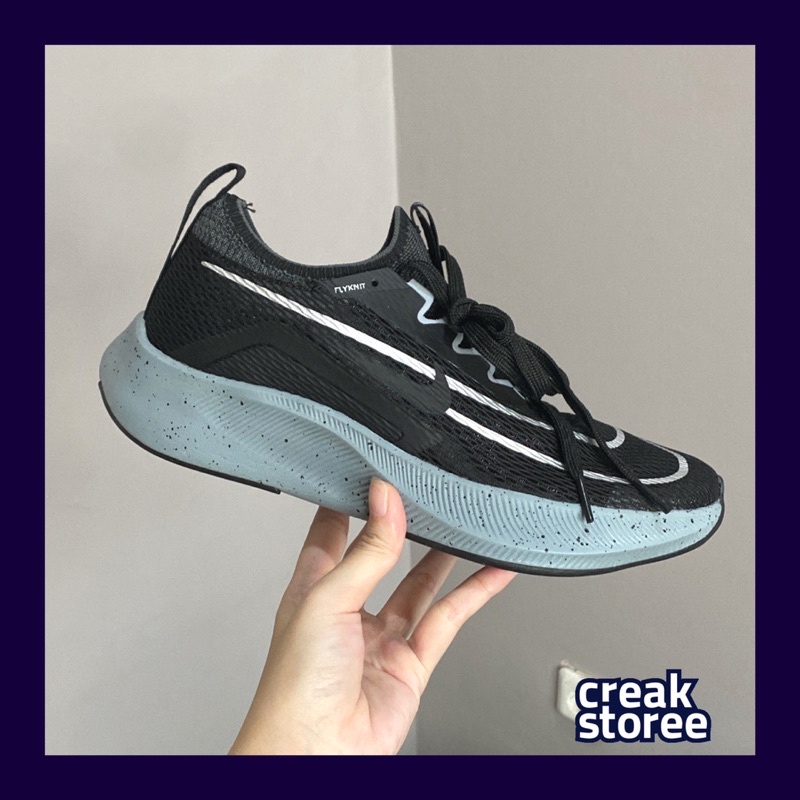 pegasus zoom fly