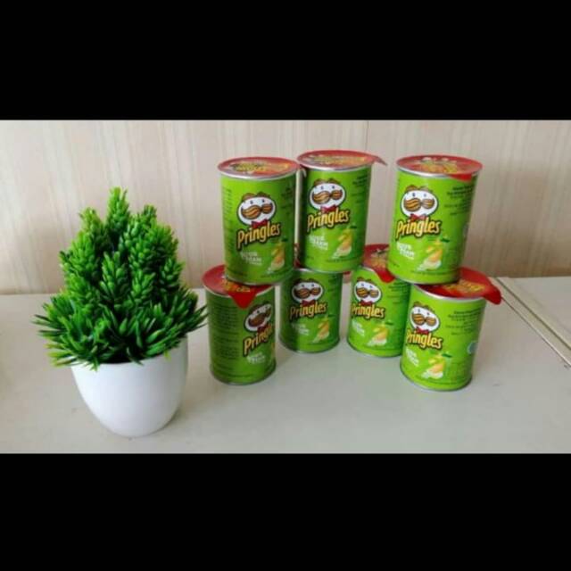 

1 dus pringlash (kripik kentang) ukuran 42gr